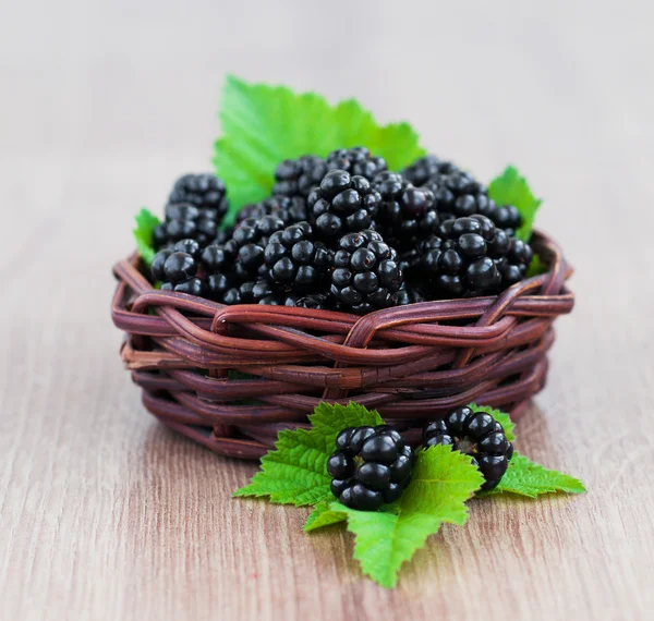 Basket of Blackberries — Stock fotografie