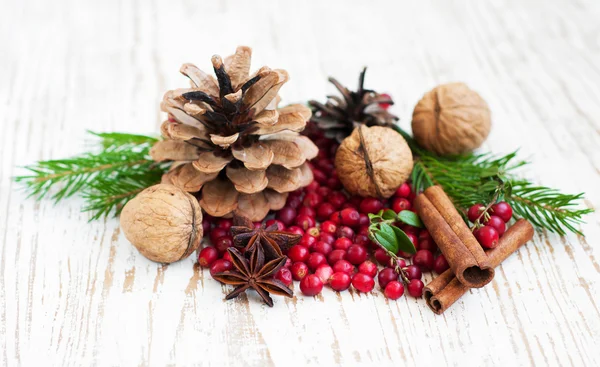 Spezie di Natale — Foto Stock