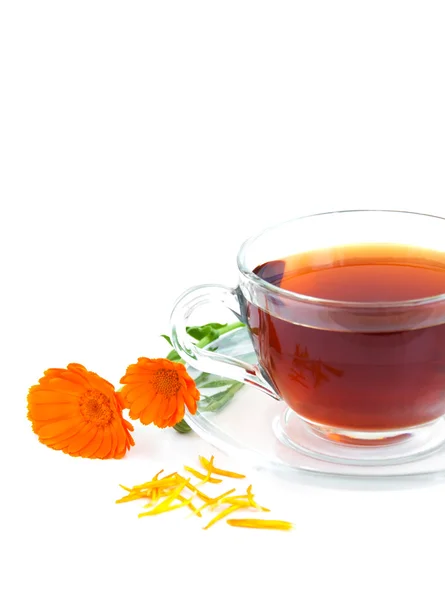 Tea with calendula — Stock Photo, Image