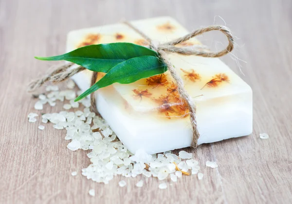 Natural Herbal Soap — Stock Photo, Image