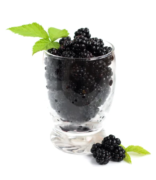 Glass of Blackberries — Stock Photo, Image