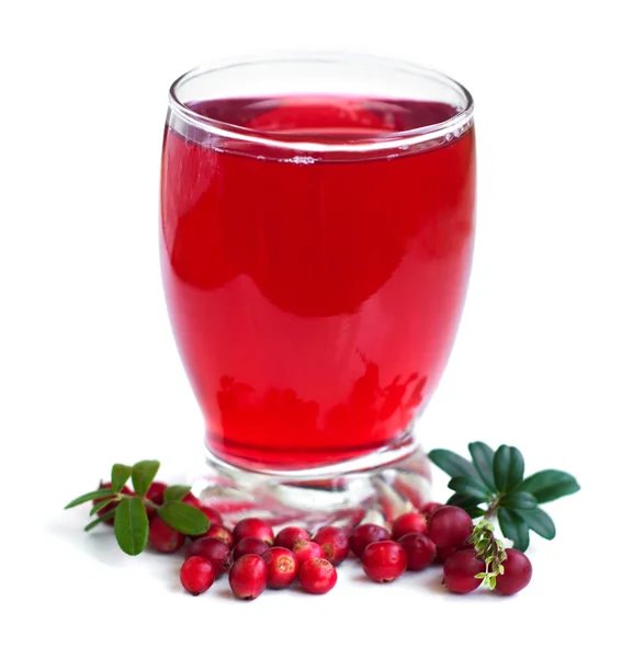 Fruit cranberries drink — Stock Photo, Image
