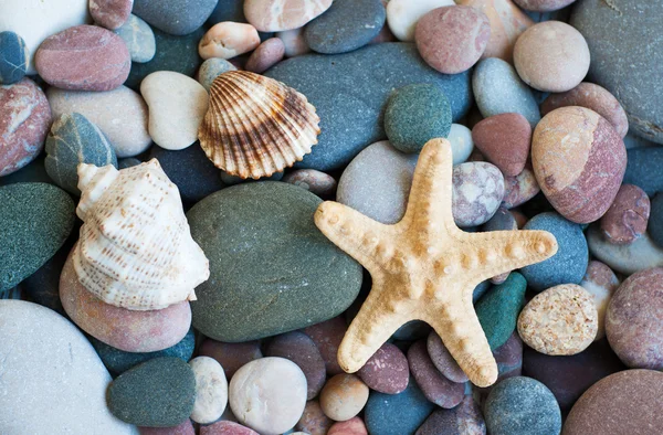 Stranden stenar — Stockfoto