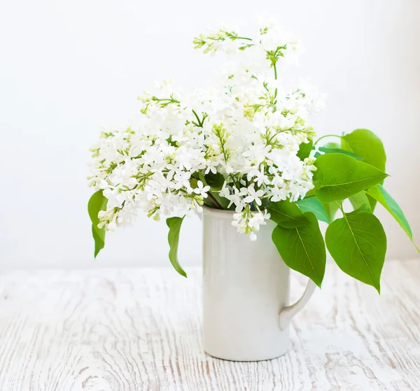 백색 라일락의 꽃다발 — 스톡 사진