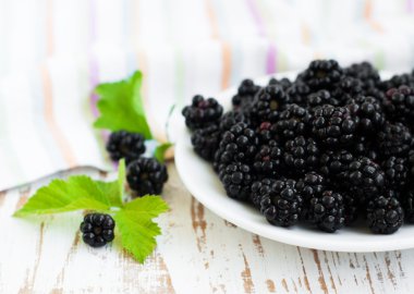 böğürtlen ile plaka