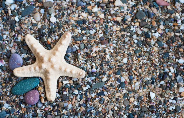 Plaża kamienie — Zdjęcie stockowe