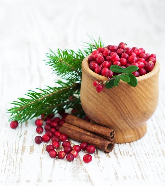 Cranberries — Stock Photo, Image