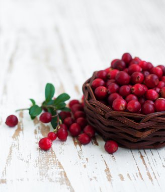 taze kırmızı kızılcık