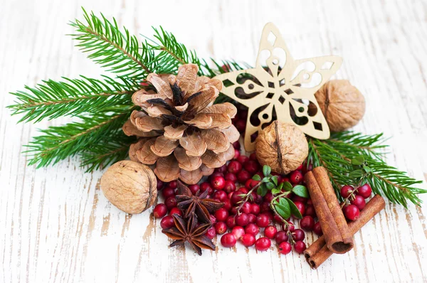 Spezie di Natale — Foto Stock