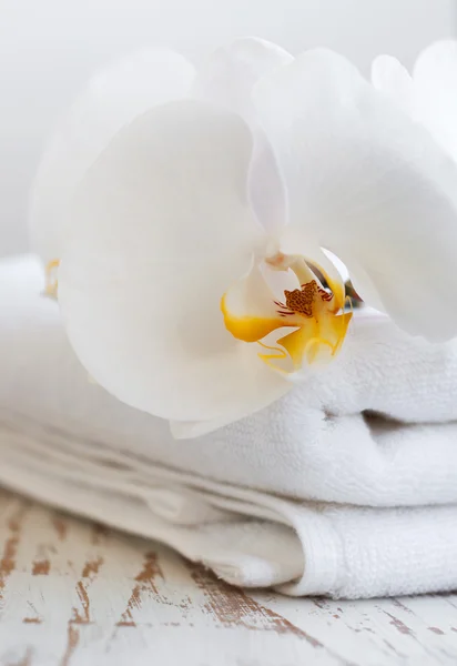 Orchidee e asciugamano spa — Foto Stock