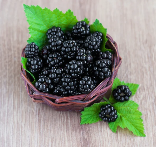 Korb voller Brombeeren — Stockfoto