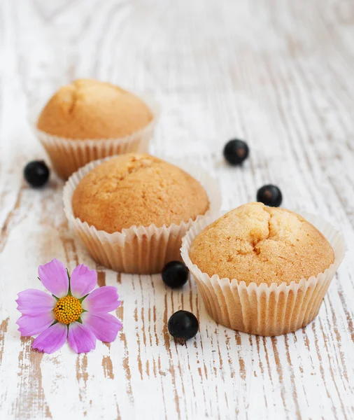 Muffin e groselhas pretas — Fotografia de Stock