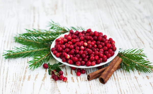 Preiselbeeren — Stockfoto