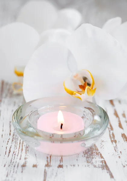 Orchidee e candele — Foto Stock