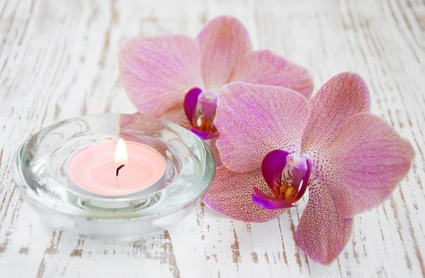 Orchidee e candele — Foto Stock