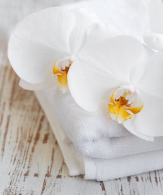 Orkide ve spa havlu
