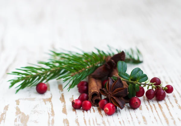 Kerstmis specerijen — Stockfoto