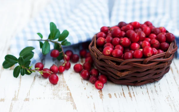 Färska röda tranbär — Stockfoto