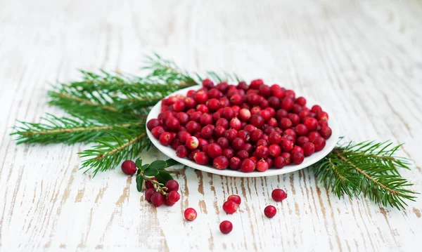 Cranberries — Stock Photo, Image