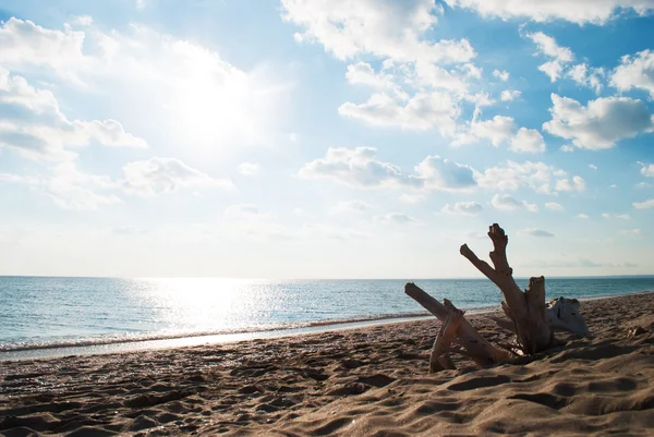 Black Sea's beach — Stock Photo, Image