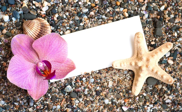 Papel em branco na areia da praia — Fotografia de Stock