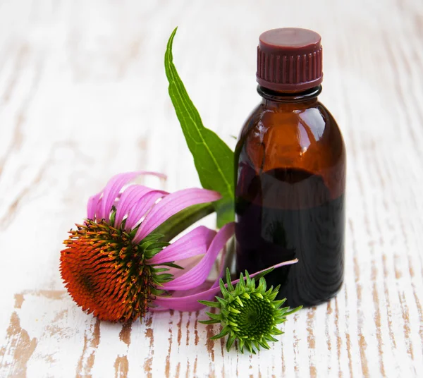 Herbal medicine — Stock Photo, Image