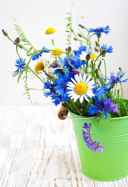 Fiori di campo — Foto Stock