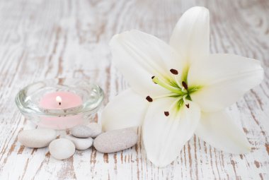 Lily ile ayarla spa