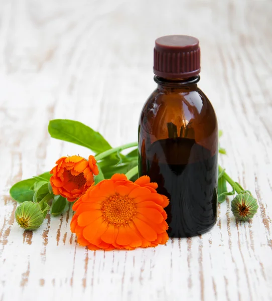 Herbal medicine — Stock Photo, Image