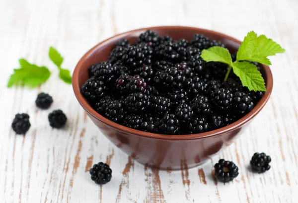 Bowl of Blackberries — Stock Photo, Image