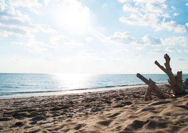 Black Sea's beach — Stock Photo, Image