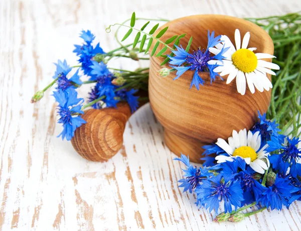 Mortar and pestle with cornflowers — Stock Photo, Image