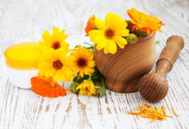 Calendula çiçekler ve harç