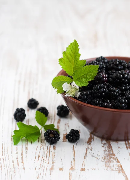 Bowl of Blackberries — Stock Photo, Image