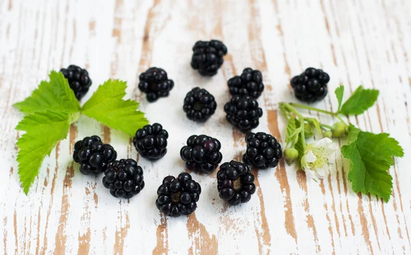 Brombeeren — Stockfoto