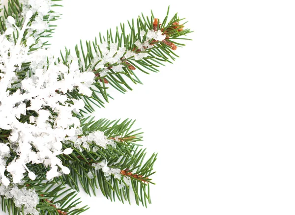 スノーフレーク クリスマス ツリーの飾り — ストック写真