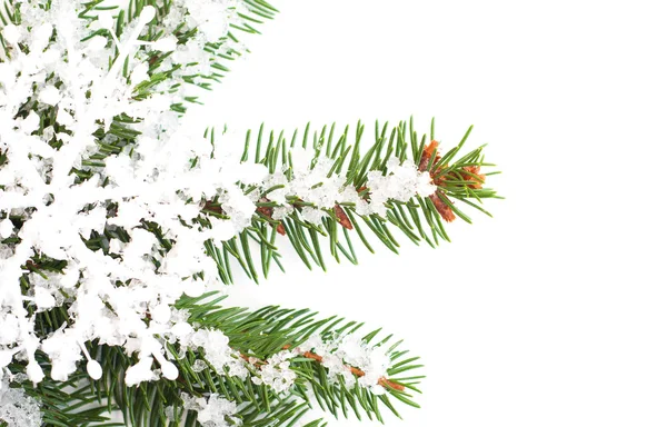 スノーフレーク クリスマス ツリーの飾り — ストック写真