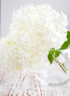 Ortanca gelin buketi