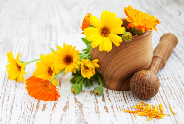 Calendula flowers and mortar — Stock Photo, Image