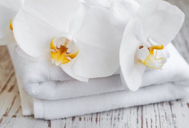 Orkide ve spa havlu