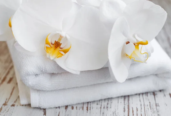 Orkide ve spa havlu — Stok fotoğraf