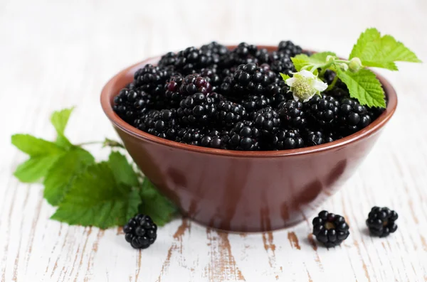 Bowl of Blackberries — Stock Photo, Image