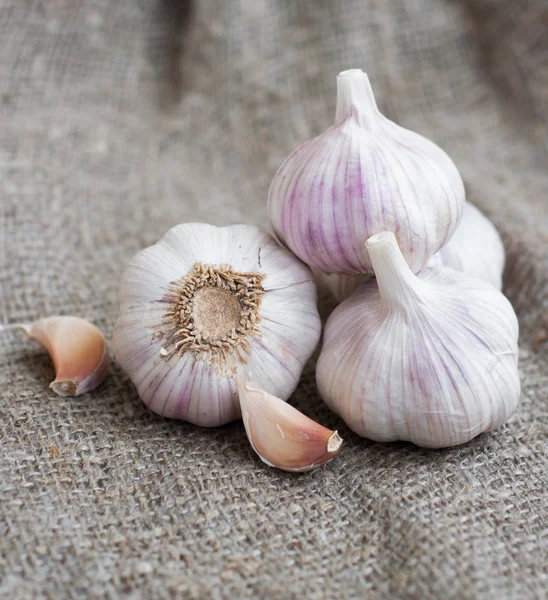 Garlic — Stock Photo, Image