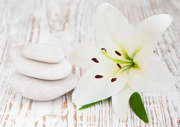 Lilly and massage stones — Stock Photo, Image