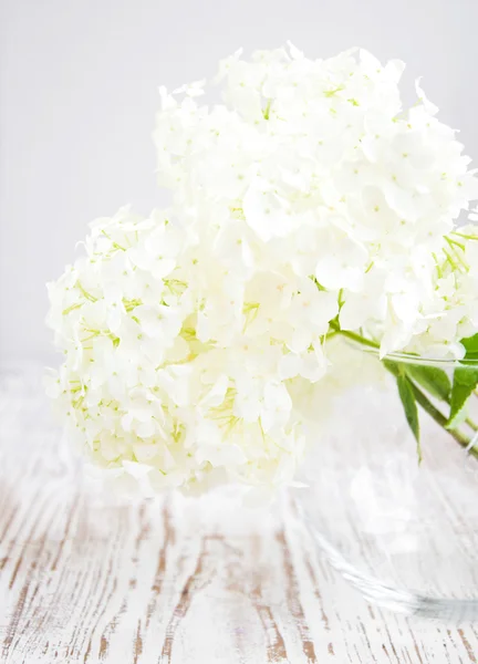 Bouquet di ortensie — Foto Stock
