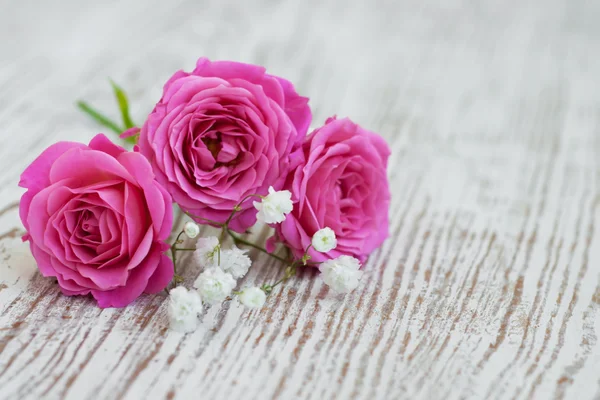 Pink roses — Stock Photo, Image