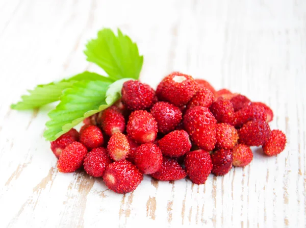 Fresas silvestres — Foto de Stock