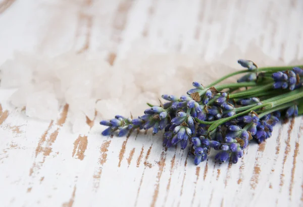 Lavendel salt och färsk blomma — Stockfoto