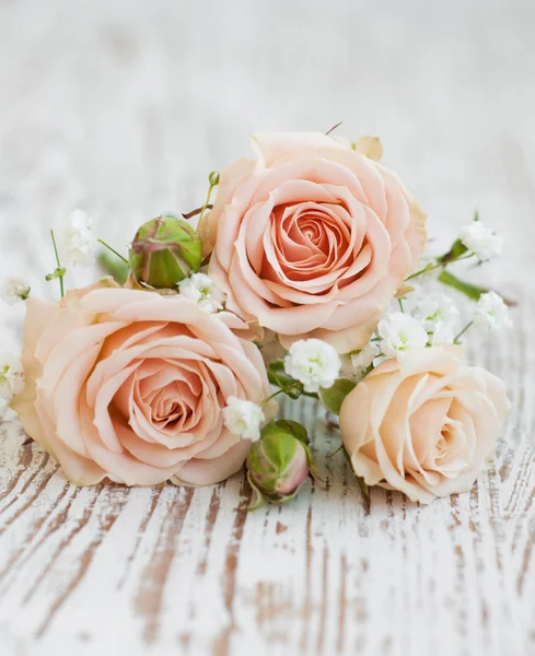 Light Pink roses — Stock Photo, Image