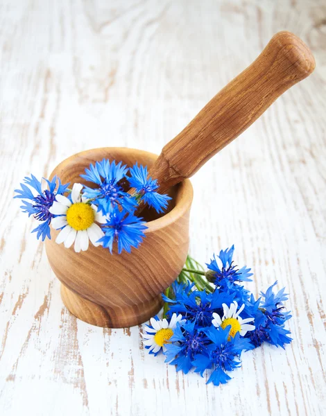 Mörser und Stößel mit Kornblumen — Stockfoto